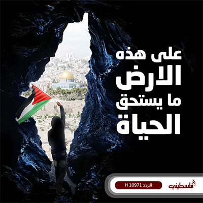 An eye-catching social media design featuring Falastini TV (Palastine TV) logo and channel details, advocating for Palestine.